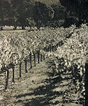 Lodging in Mendocino County