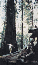 Lodging in Mendocino County