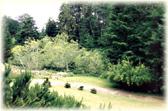 Gardens at Mendocino�s Dennen�s Victorian Farmhouse Inn