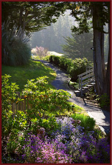 Things to Do in Mendocino