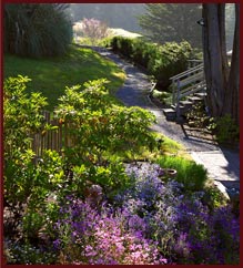 Mendocino Inn - Gardens