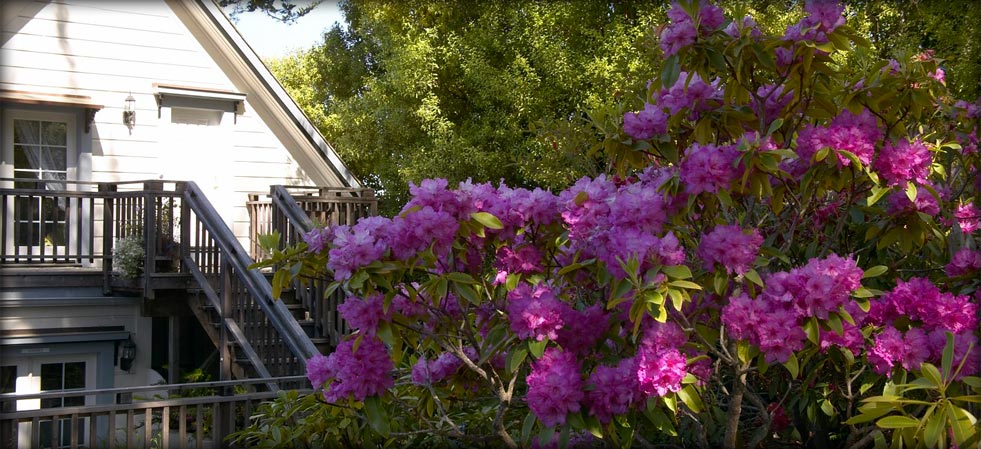 Mendocino Bed and Breakfast