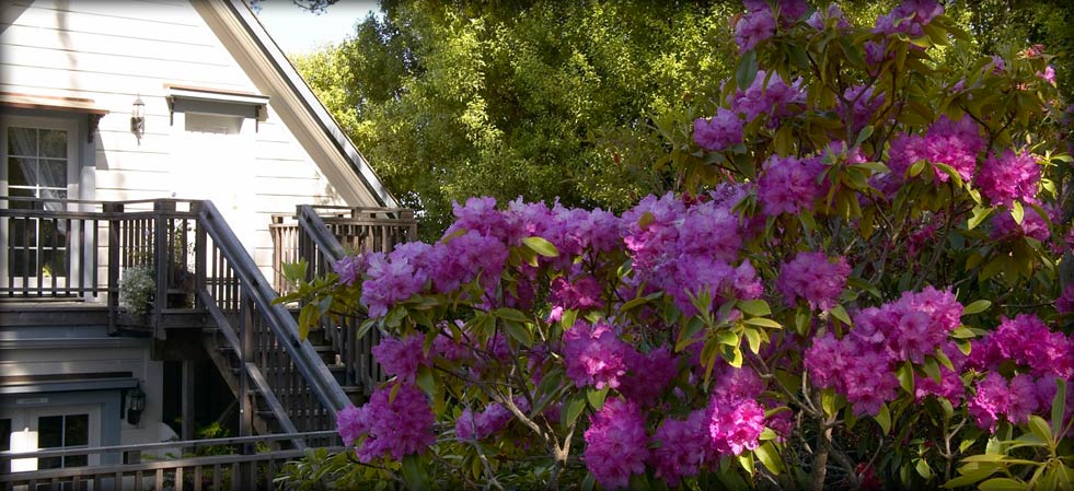 Little River CA Hotel