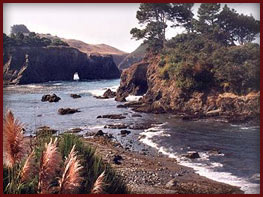 Things to Do in Mendocino