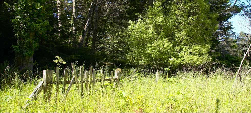 Mendocino County Bed and Breakfast