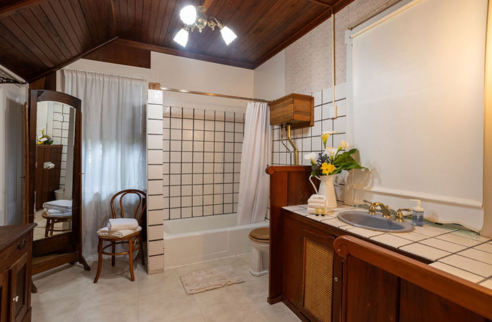 Garden Room bathroom