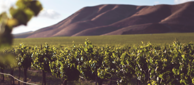 A Complete Guide to Mendocino County, California: Stay at Dennen’s Victorian Farmhouse