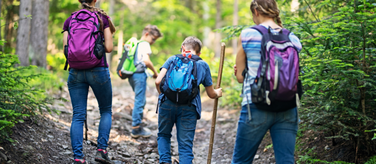 Planning Your 2026 Family Vacation: Discover the Best Family-Friendly Accommodations Mendocino Coast Has to Offer