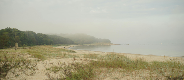 What to Do in Mendocino When It’s Foggy: A Guide to Mendocino Inns