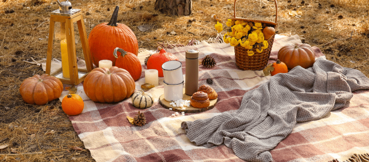 Boutique Hotels for Couples Northern California: Romantic Picnic Spots Near Dennen’s Victorian Farmhouse