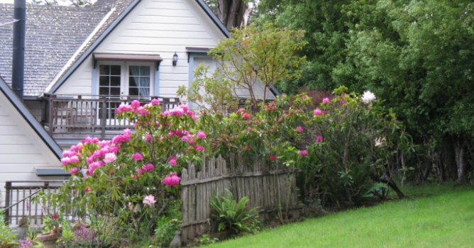 Mendocino Rhododendron Show